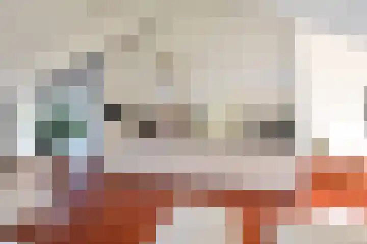 Ceintuurbaan 213 C 8 Bussum thumbnail 11