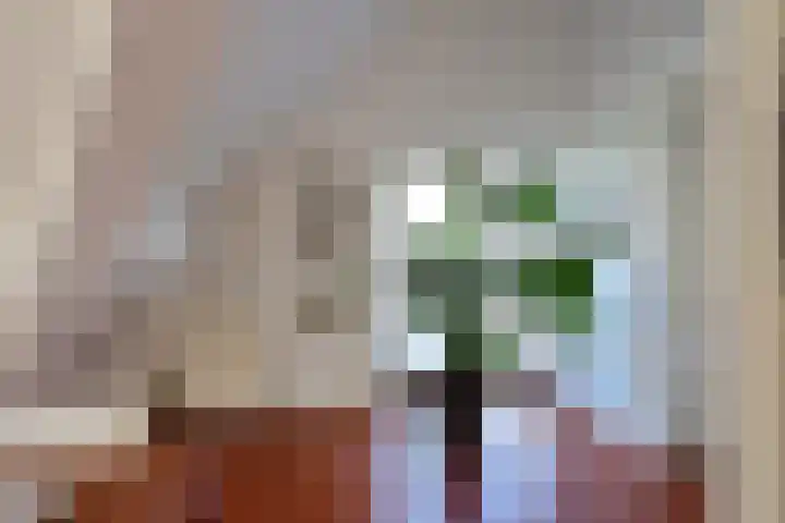 Ceintuurbaan 213 C 8 Bussum thumbnail 12
