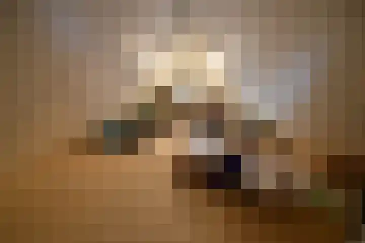 Ceintuurbaan 213 C 8 Bussum thumbnail 19