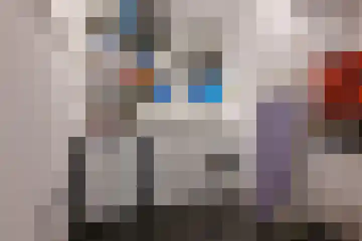Ceintuurbaan 213 D Bussum thumbnail 12