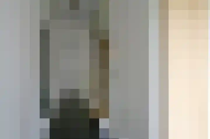 Ceintuurbaan 213 D Bussum thumbnail 13