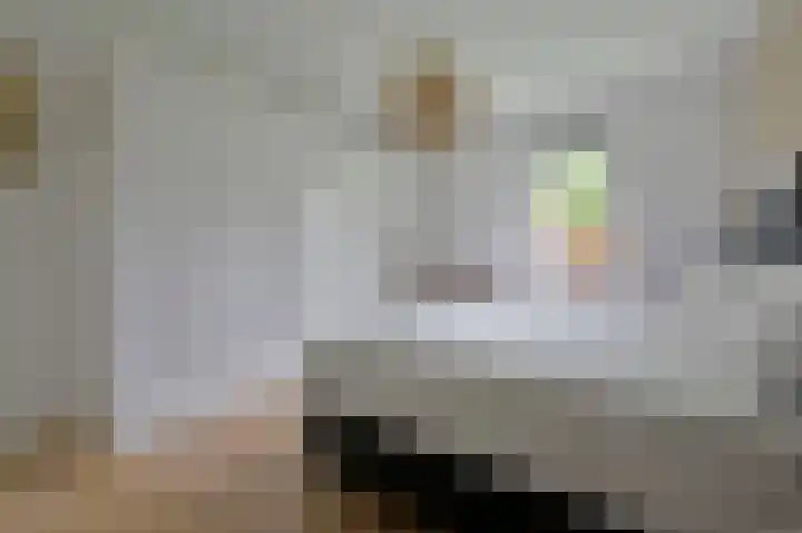 Ceintuurbaan 213 D Bussum thumbnail 16
