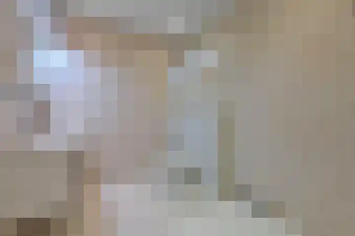 Ceintuurbaan 213 D Bussum thumbnail 17