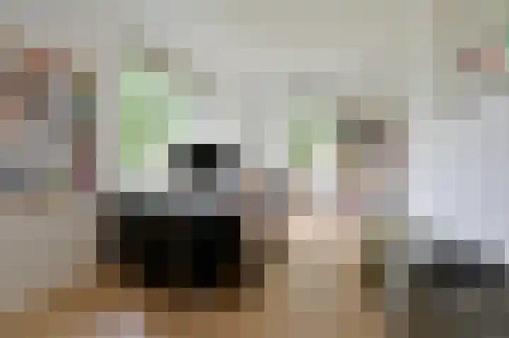 Ceintuurbaan 213 D Bussum thumbnail 20