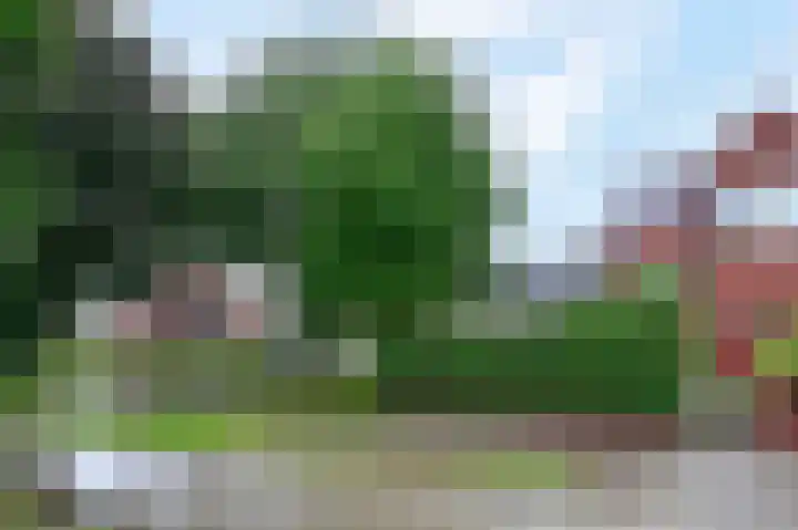 Ceintuurbaan 213 D Bussum thumbnail 21