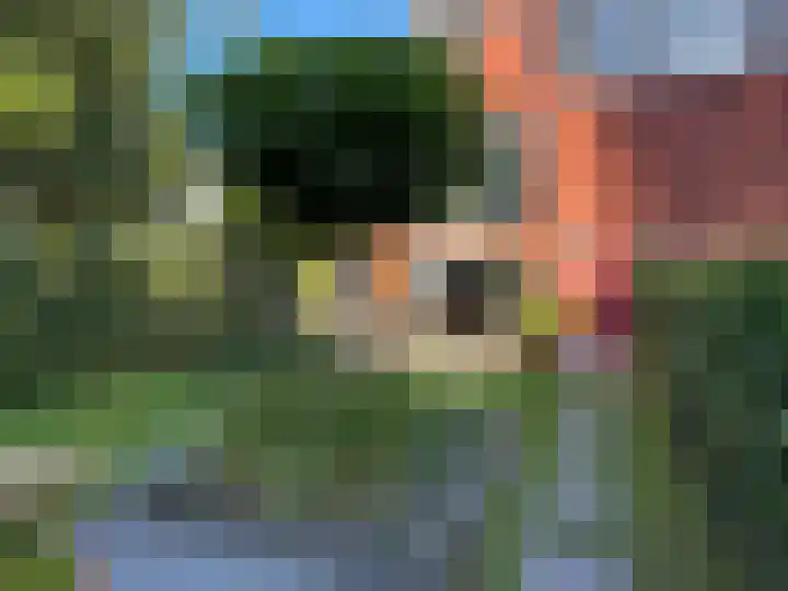 Ceintuurbaan 213 D Bussum thumbnail 26
