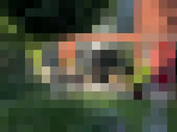 Ceintuurbaan 213 D Bussum thumbnail 28