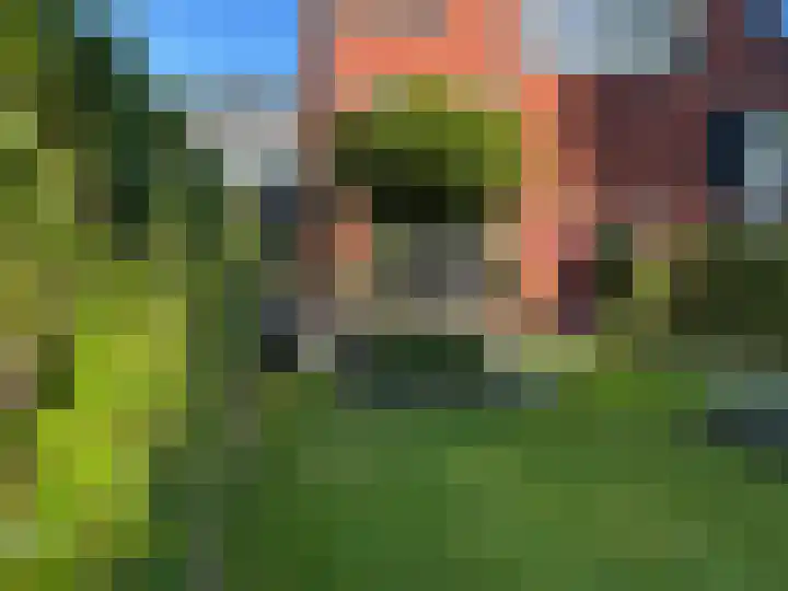 Ceintuurbaan 213 D Bussum thumbnail 34