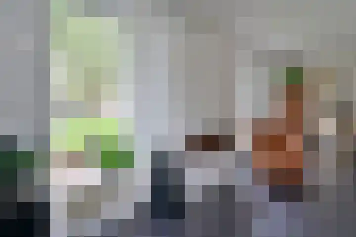 Ceintuurbaan 213 D Bussum thumbnail 5