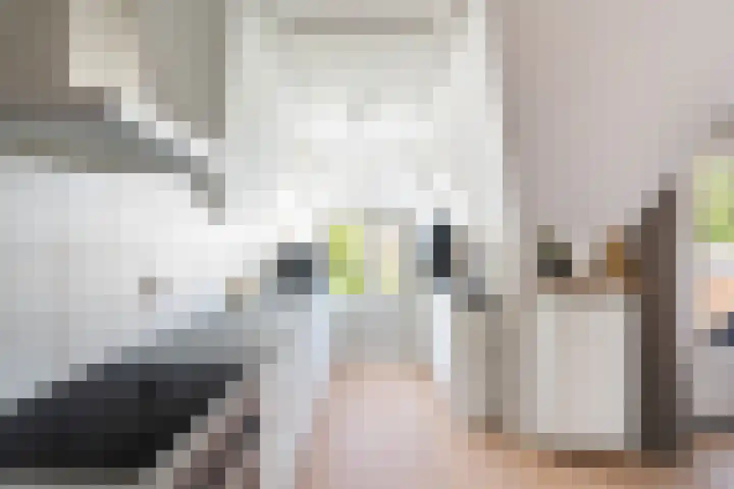 Ceintuurbaan 217 B Rotterdam thumbnail 10