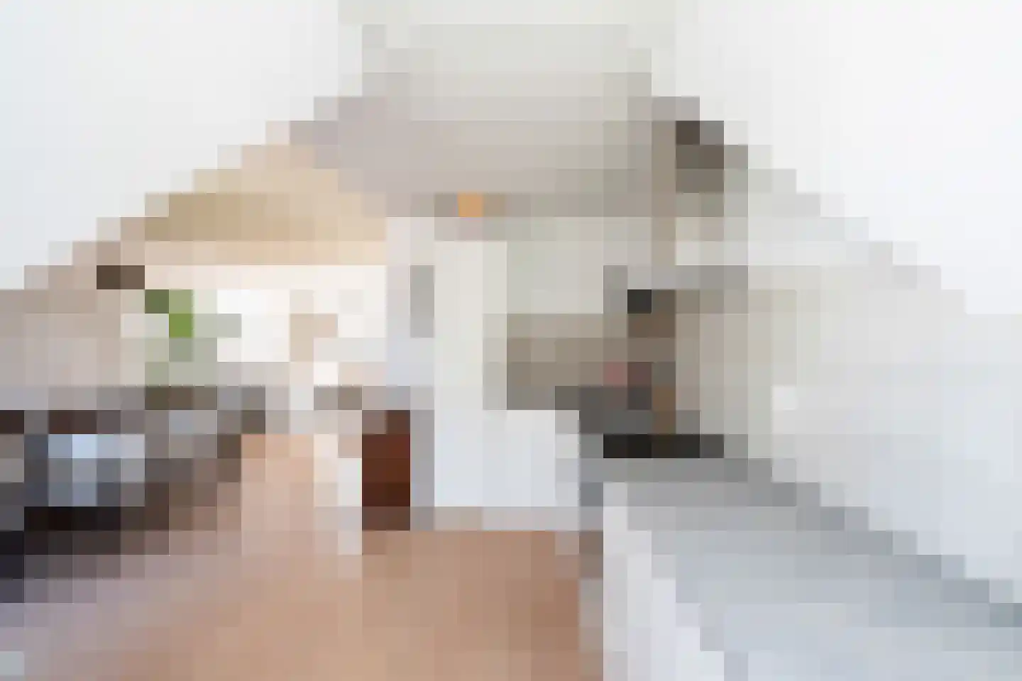 Ceintuurbaan 217 B Rotterdam thumbnail 12