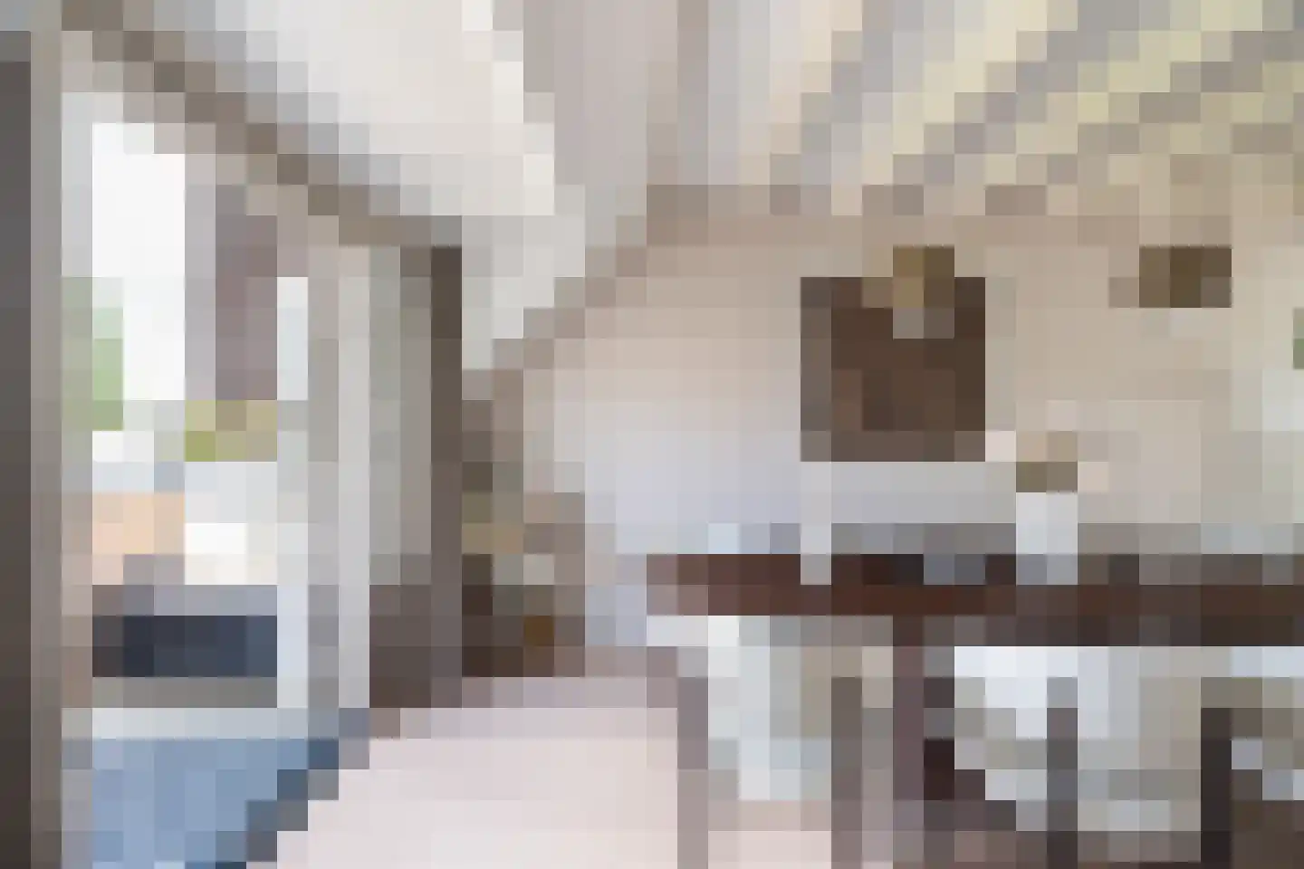 Ceintuurbaan 217 B Rotterdam thumbnail 13