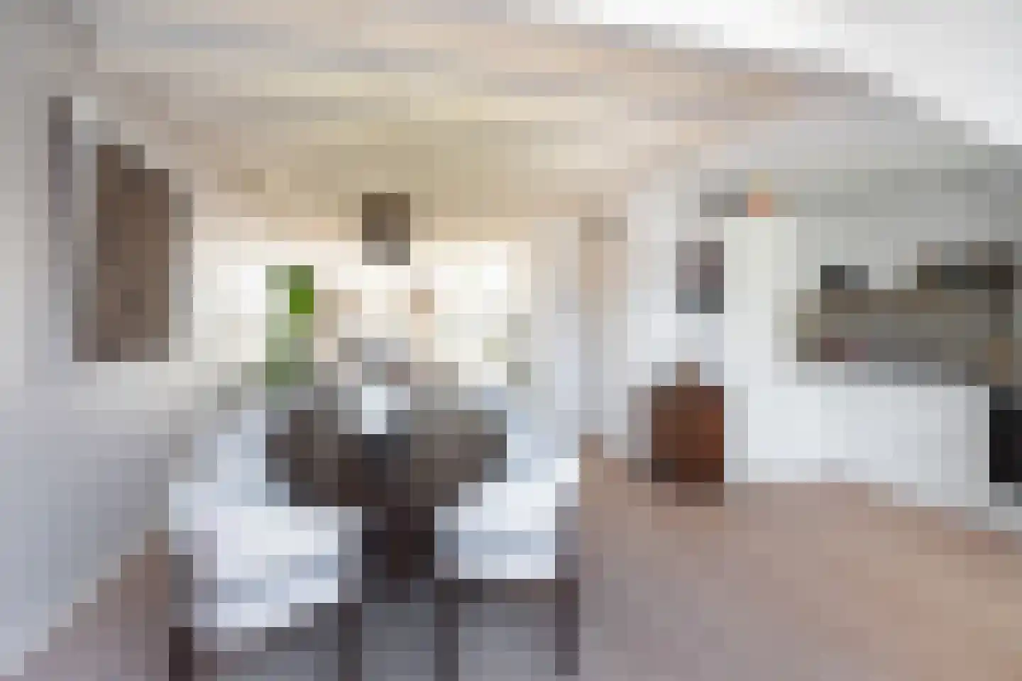 Ceintuurbaan 217 B Rotterdam thumbnail 15