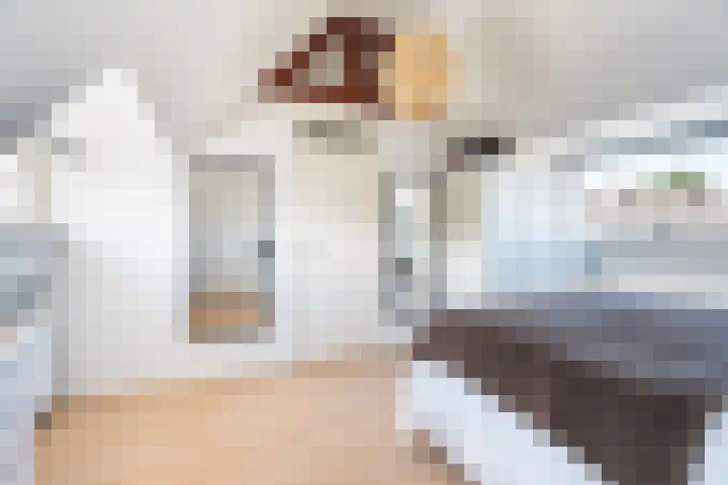 Ceintuurbaan 217 B Rotterdam thumbnail 18