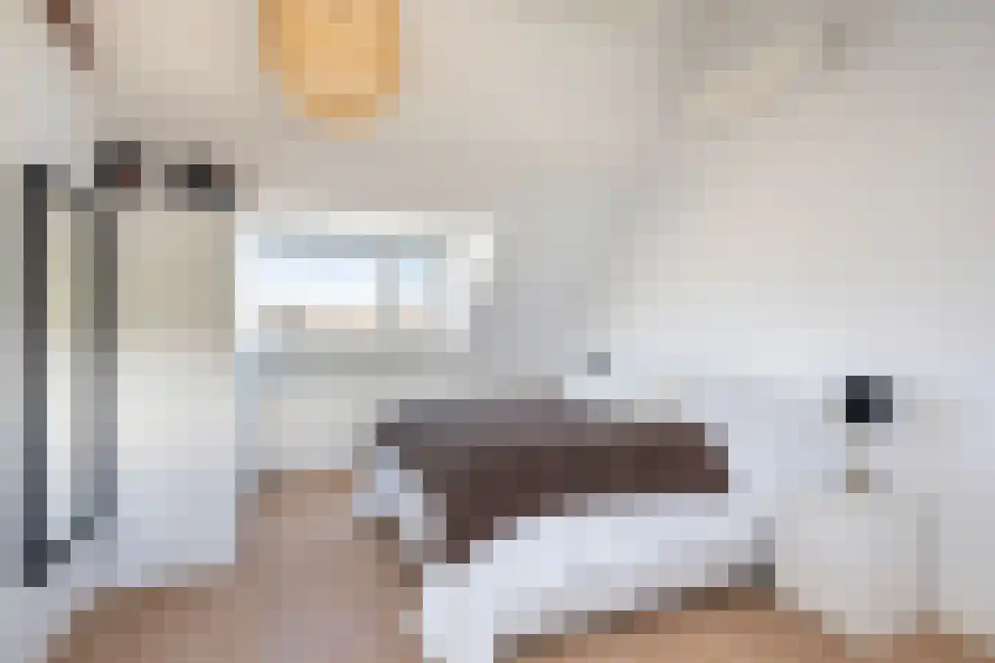 Ceintuurbaan 217 B Rotterdam thumbnail 19