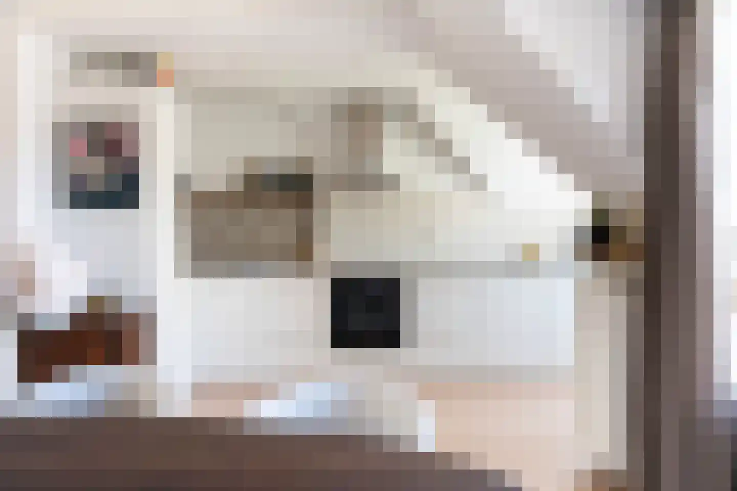 Ceintuurbaan 217 B Rotterdam thumbnail 4