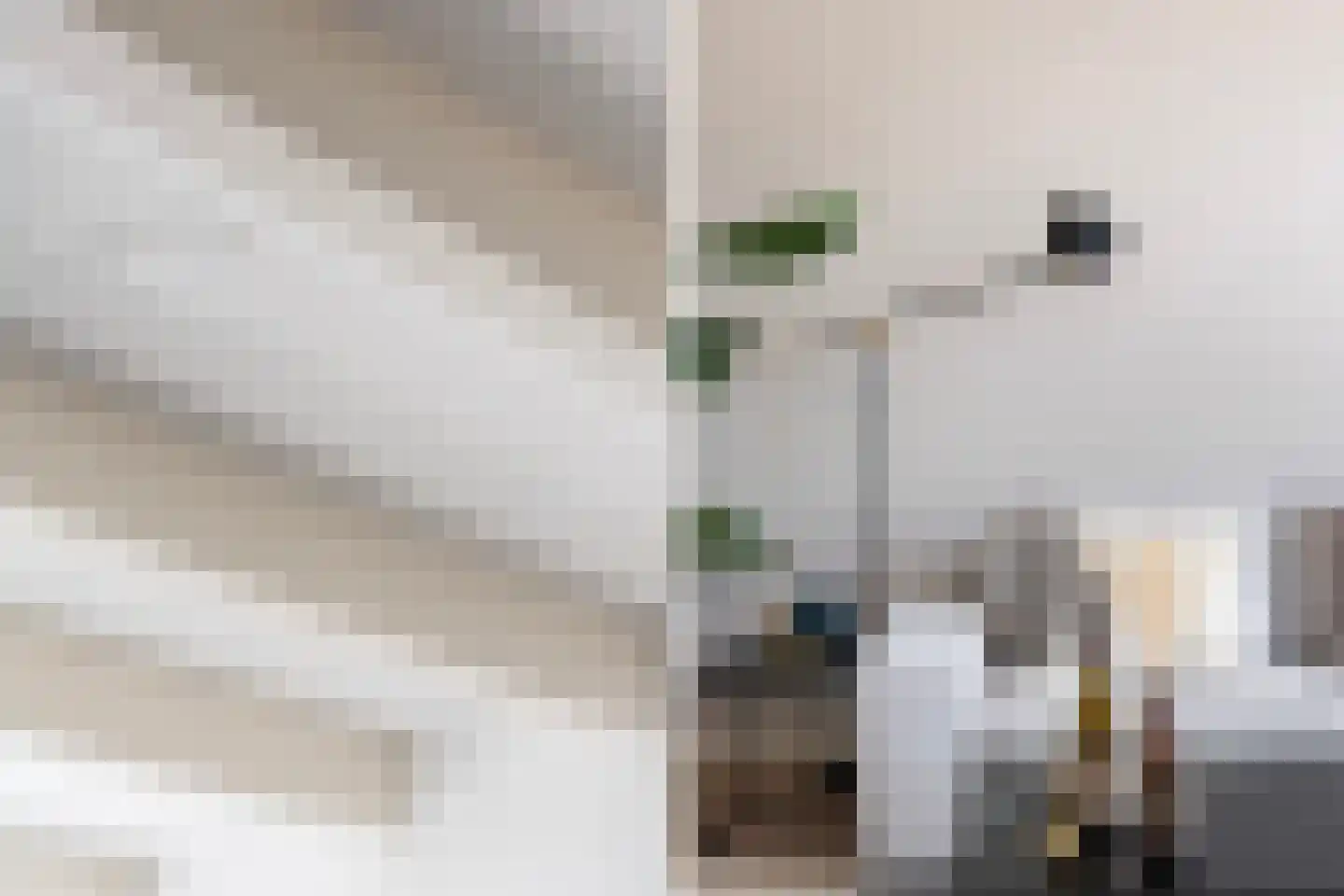 Ceintuurbaan 217 B Rotterdam thumbnail 7