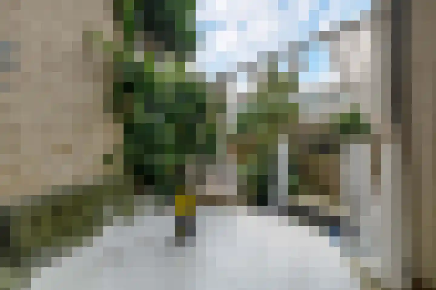 Ceintuurbaan 219 Rotterdam thumbnail 17