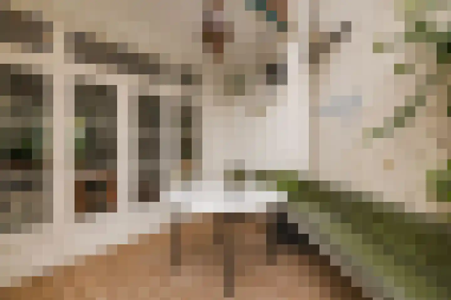 Ceintuurbaan 219 Rotterdam thumbnail 18