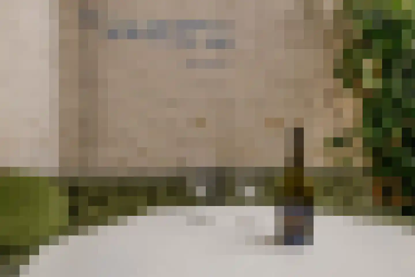 Ceintuurbaan 219 Rotterdam thumbnail 19