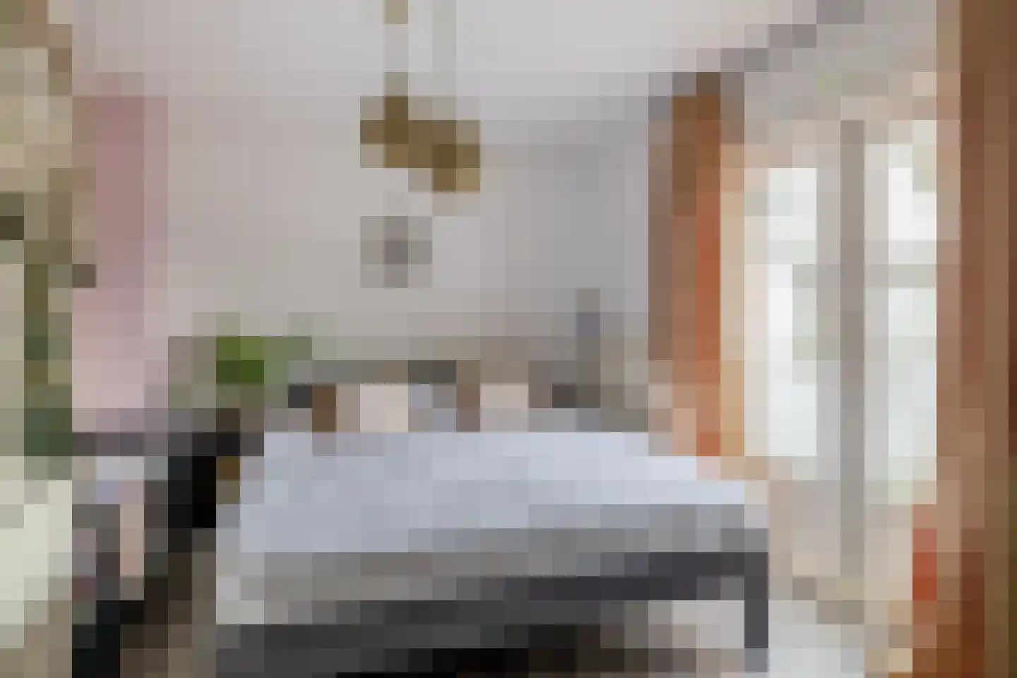 Ceintuurbaan 219 Rotterdam thumbnail 22