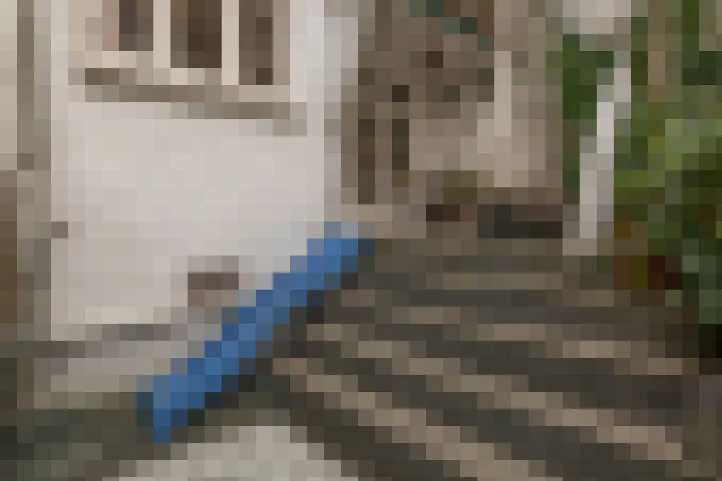Ceintuurbaan 219 Rotterdam thumbnail 30