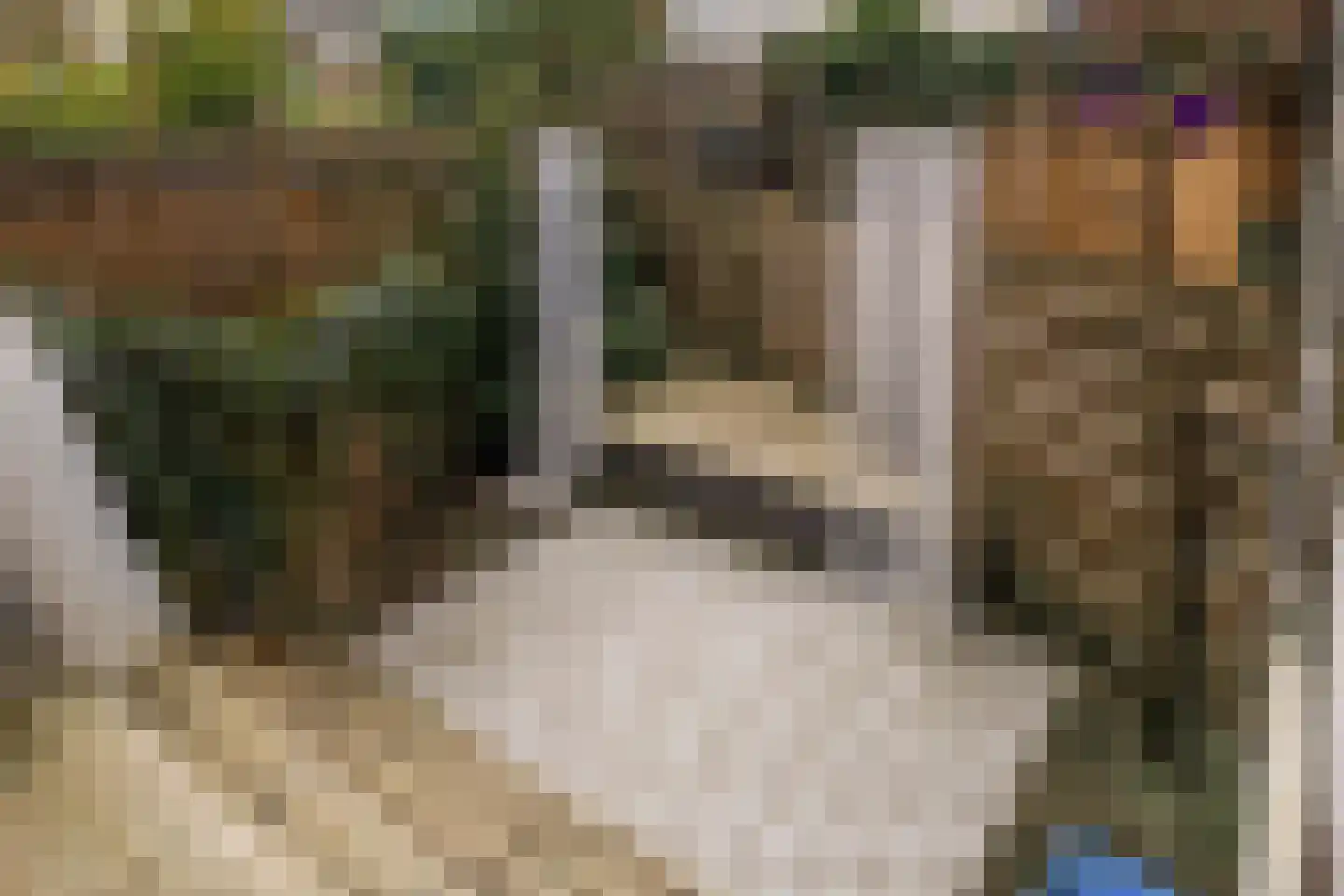 Ceintuurbaan 219 Rotterdam thumbnail 31