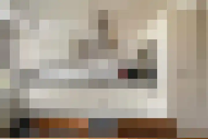 Ceintuurbaan 22 A Rotterdam thumbnail 10
