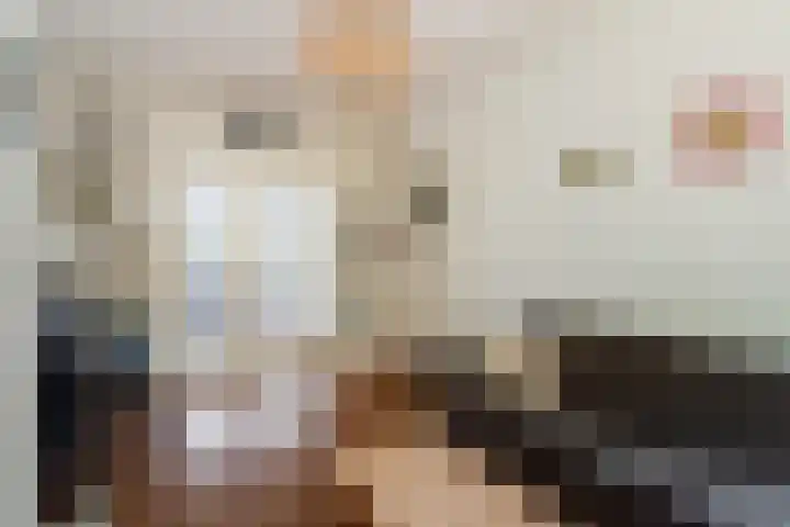 Ceintuurbaan 22 A Rotterdam thumbnail 12