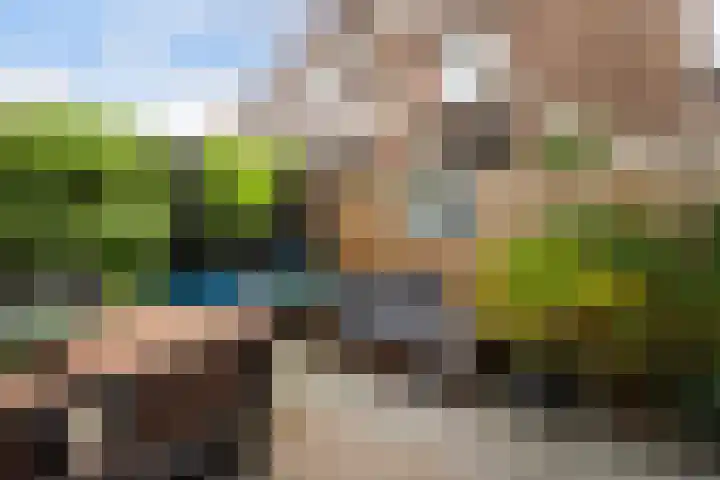 Ceintuurbaan 22 A Rotterdam thumbnail 26