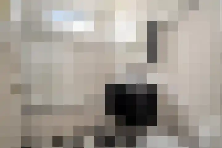 Ceintuurbaan 22 A Rotterdam thumbnail 38
