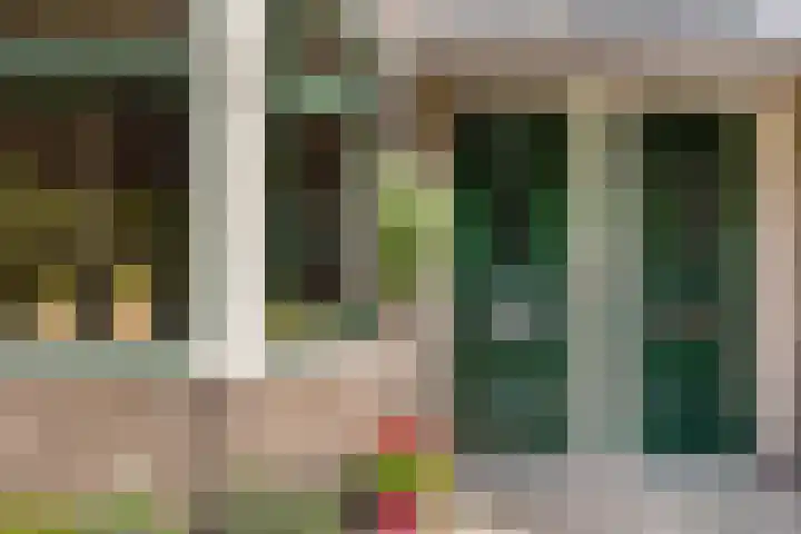 Ceintuurbaan 22 A Rotterdam thumbnail 4