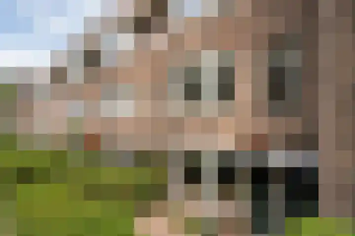 Ceintuurbaan 22 A Rotterdam thumbnail 40