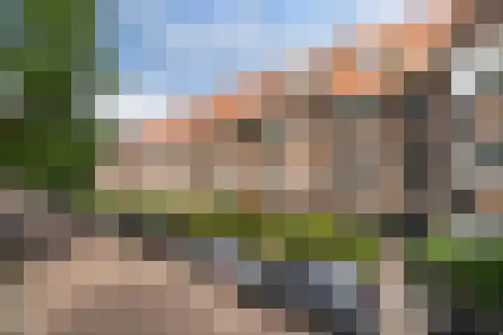 Ceintuurbaan 22 A Rotterdam thumbnail 41