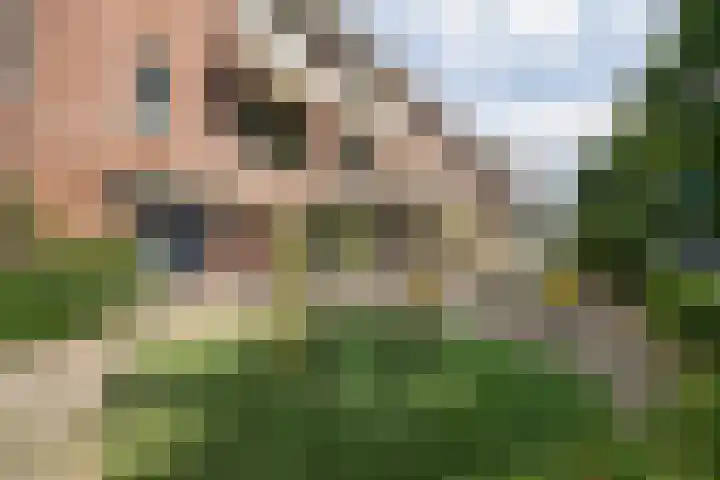 Ceintuurbaan 22 A Rotterdam thumbnail 42