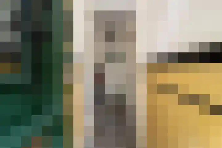 Ceintuurbaan 22 A Rotterdam thumbnail 5