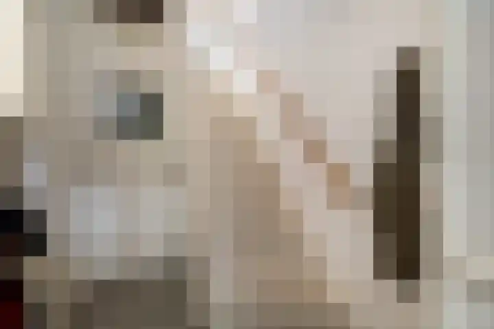 Ceintuurbaan 22 A Rotterdam thumbnail 6