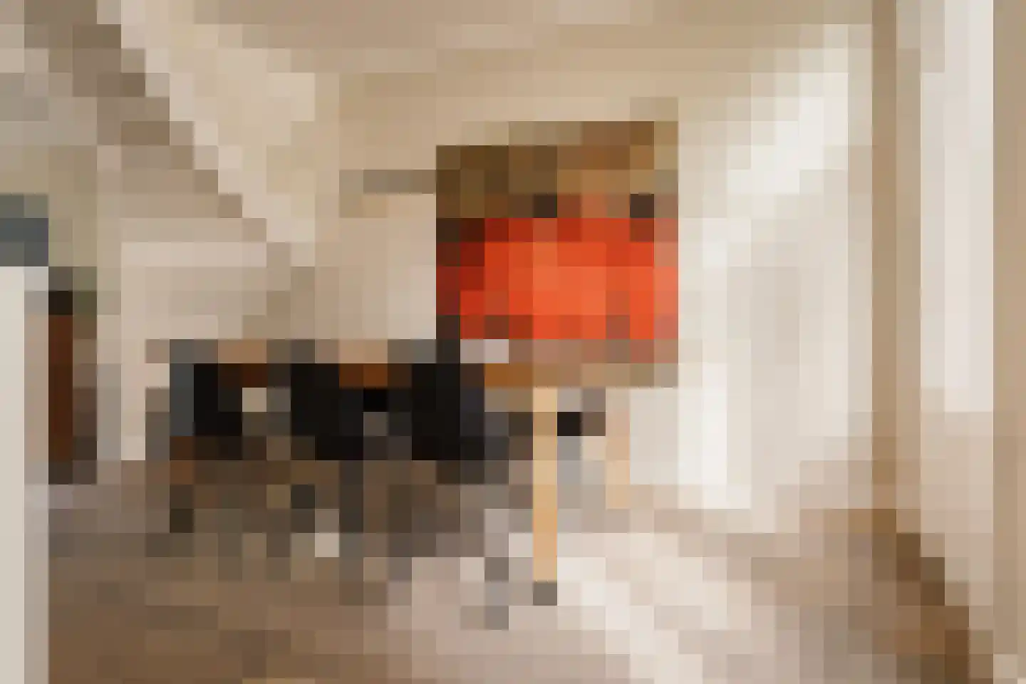 Ceintuurbaan 236 2 Amsterdam thumbnail 15