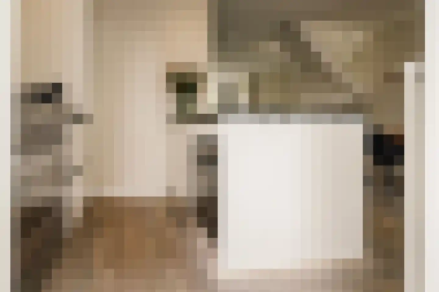 Ceintuurbaan 236 2 Amsterdam thumbnail 17
