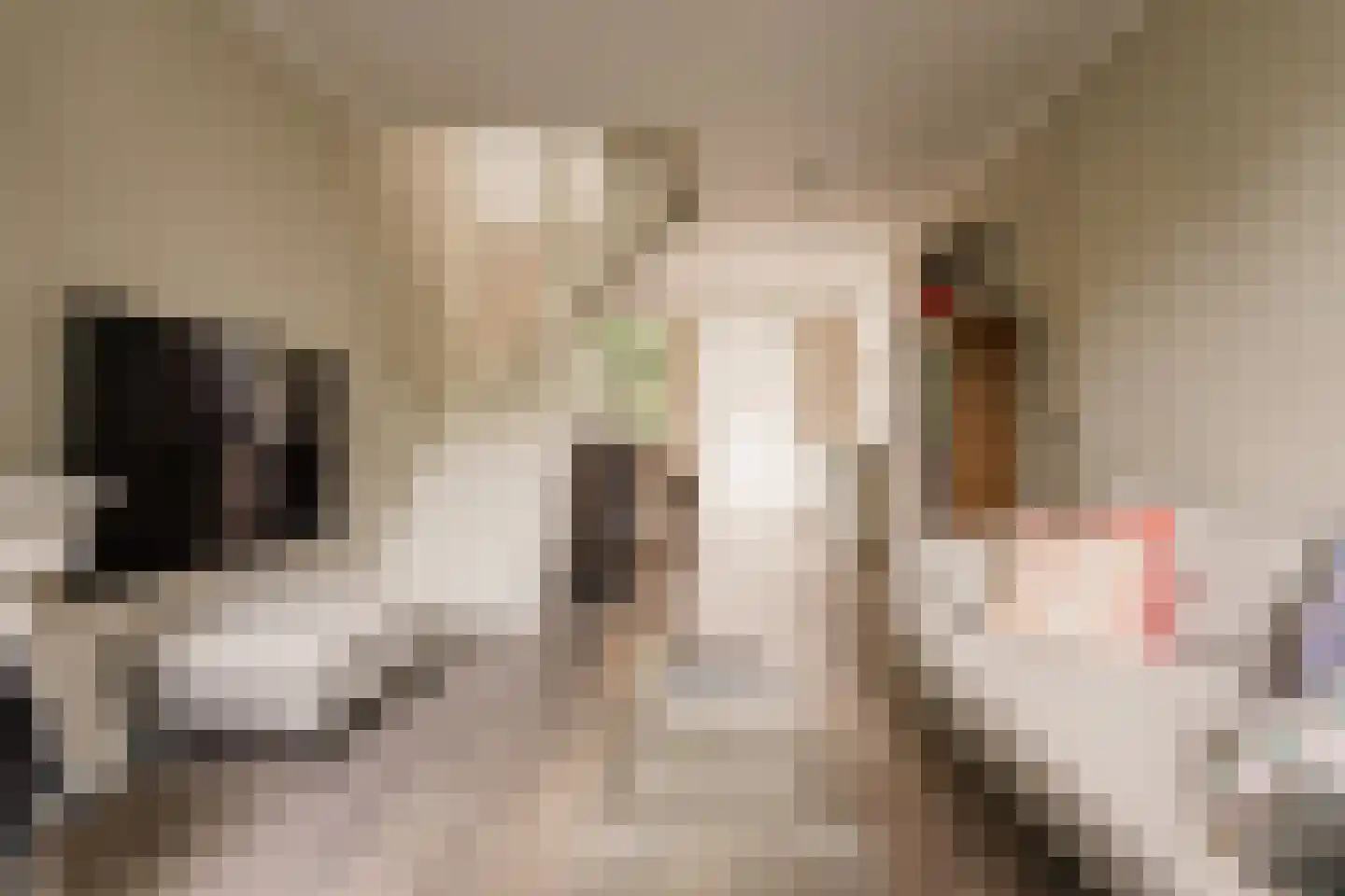 Ceintuurbaan 236 2 Amsterdam thumbnail 22