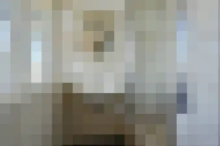 Ceintuurbaan 24 II Bussum thumbnail 11