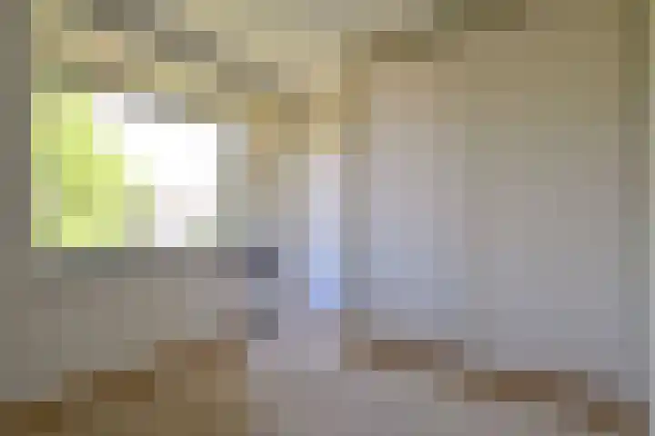 Ceintuurbaan 24 II Bussum thumbnail 13