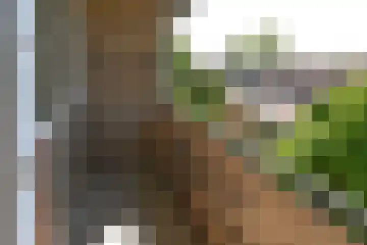 Ceintuurbaan 24 II Bussum thumbnail 16