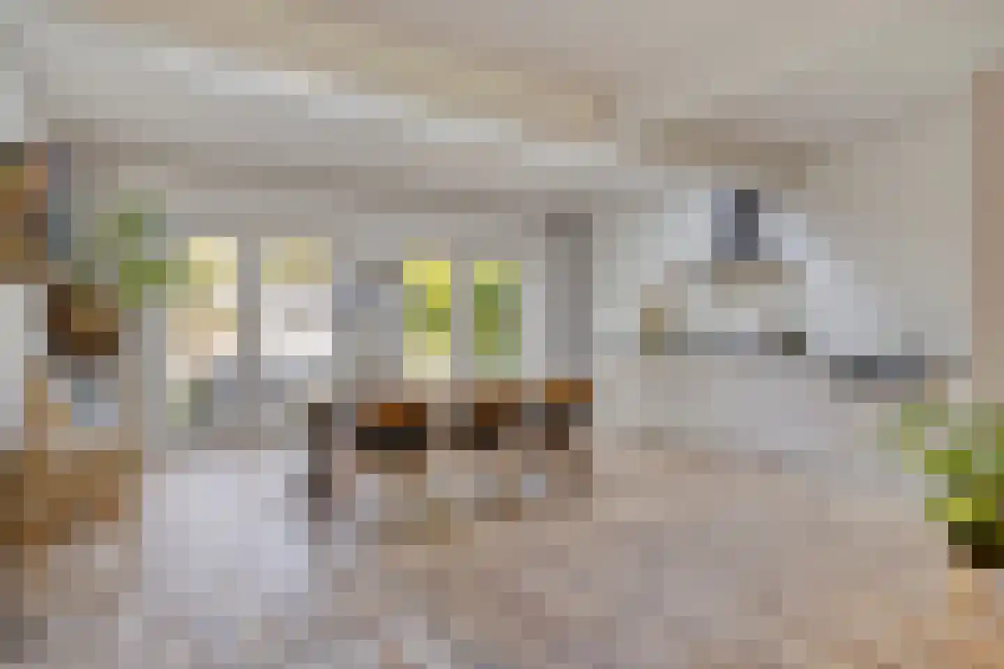 Ceintuurbaan 245 Bussum thumbnail 10