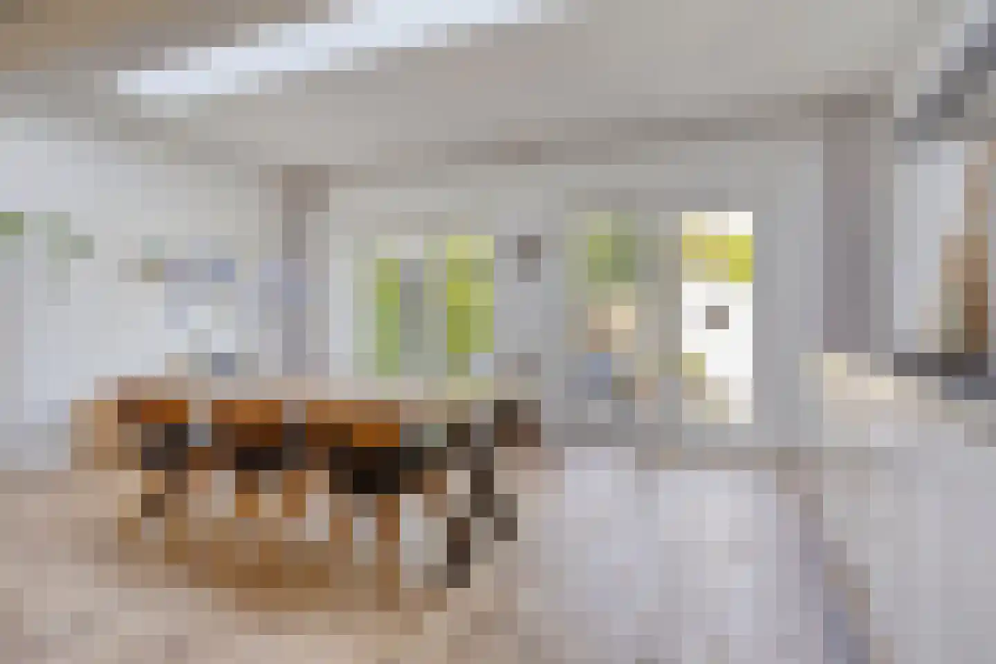 Ceintuurbaan 245 Bussum thumbnail 11