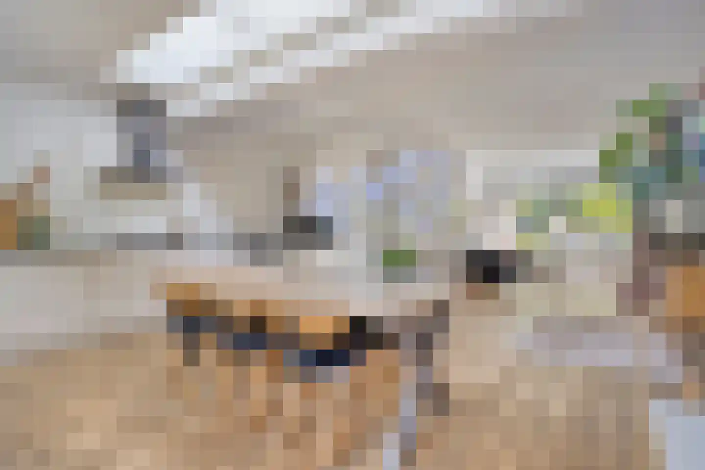 Ceintuurbaan 245 Bussum thumbnail 13