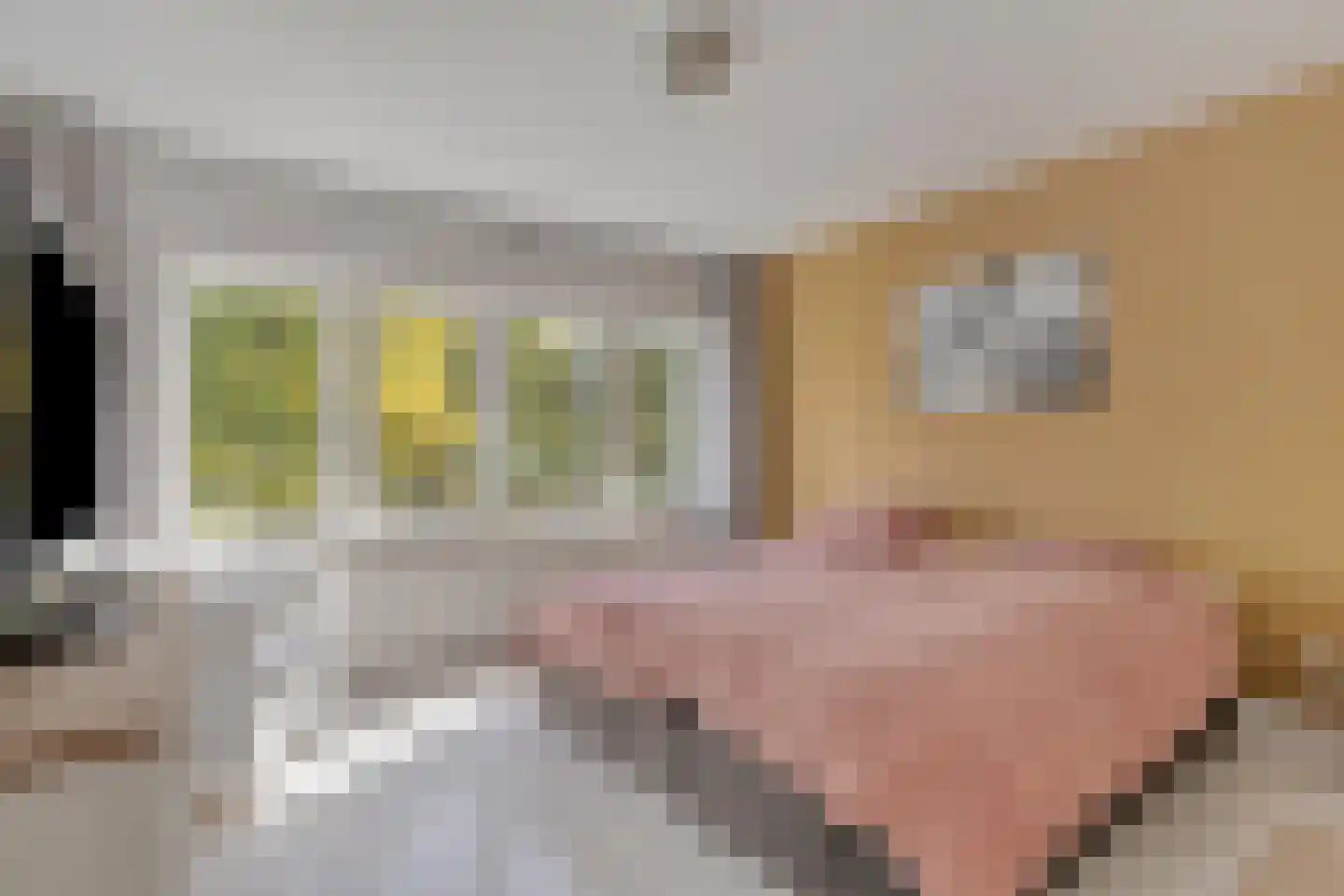 Ceintuurbaan 245 Bussum thumbnail 18