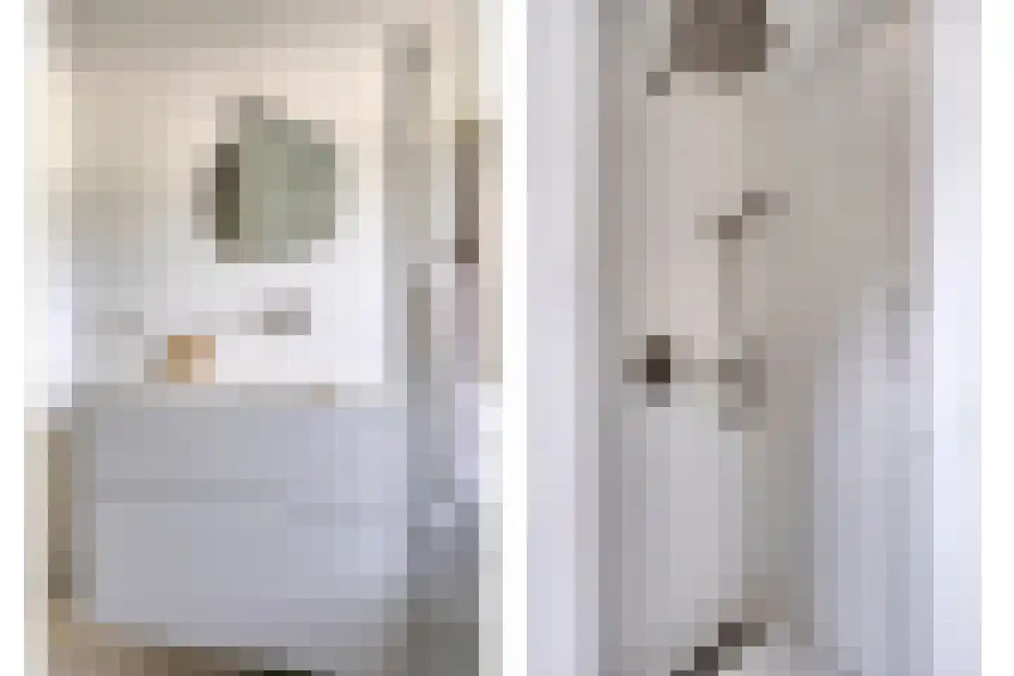 Ceintuurbaan 245 Bussum thumbnail 21