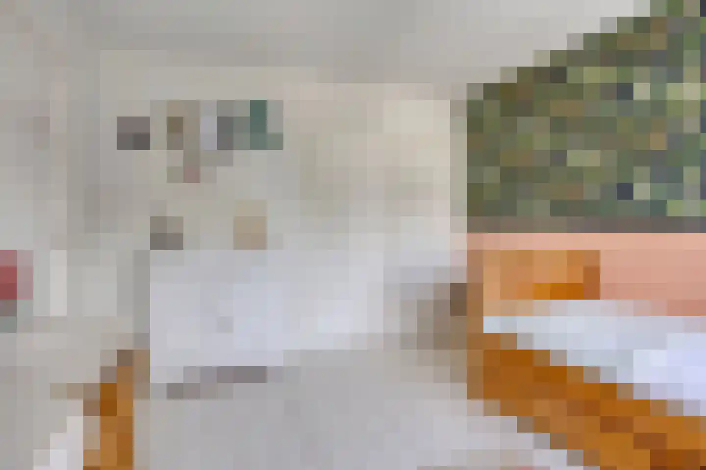 Ceintuurbaan 245 Bussum thumbnail 23