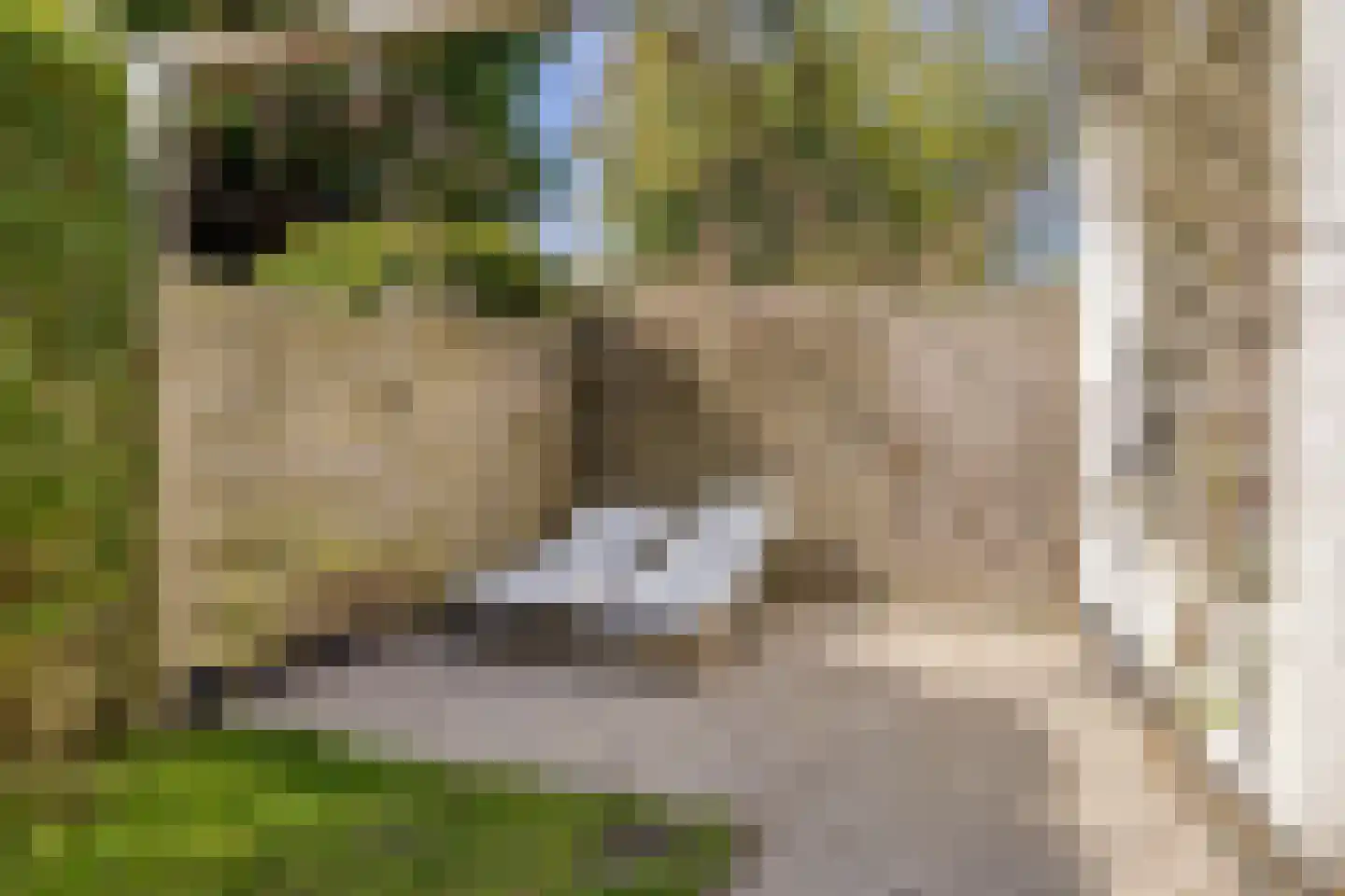 Ceintuurbaan 245 Bussum thumbnail 38